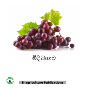 Generic Grape Cultivation PDF eBook