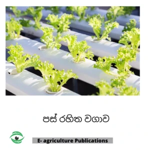 Generic Hydroponics Learning PDF Sinhala eBook