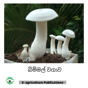 Mushroom Cultivation Sinhala PDF Guide