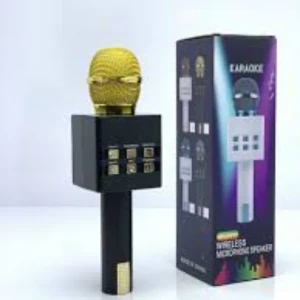 Generic MC871 Wireless Microphone Speaker
