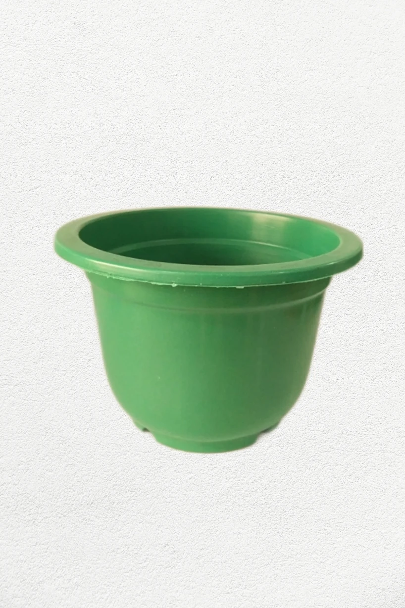 Flower Pot