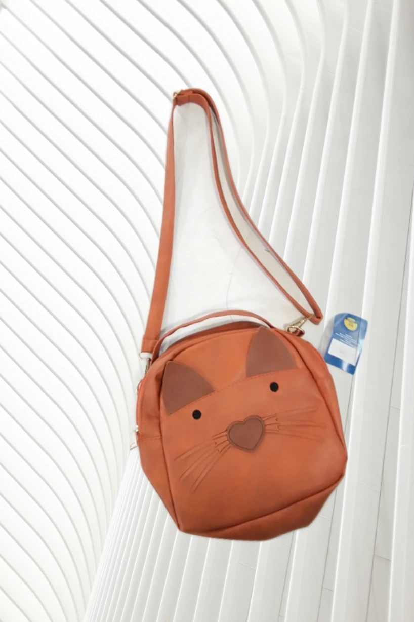 Generic Ladies Side Bag