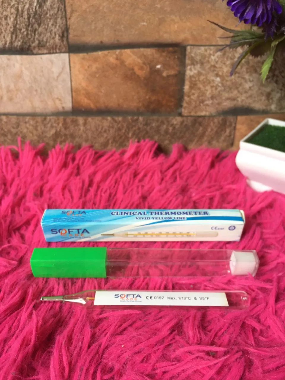 Generic Flat Large 2pcs Pack Mercury Thermometer - image 1