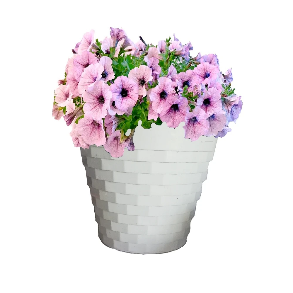 Diamond Flower Pots 20cm 18cm Diamond Design - image 2