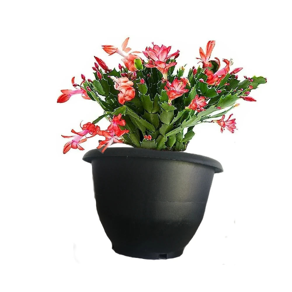 Generic Flower Pots High-Quality Plastic - image 2