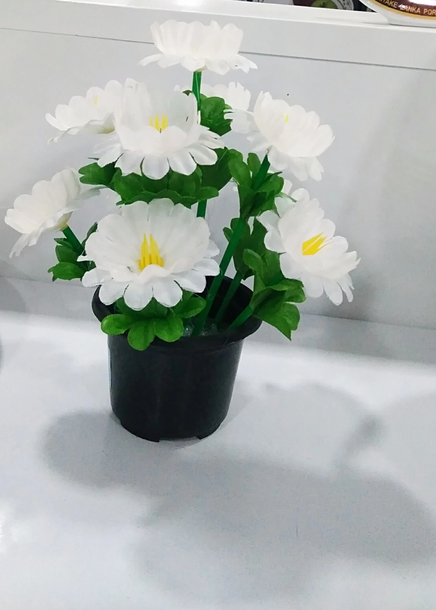 Generic Flowers Vase 24cm