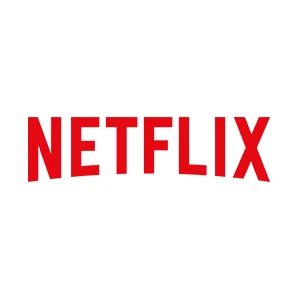 Netflix Premium 1Y Subscription - image 1