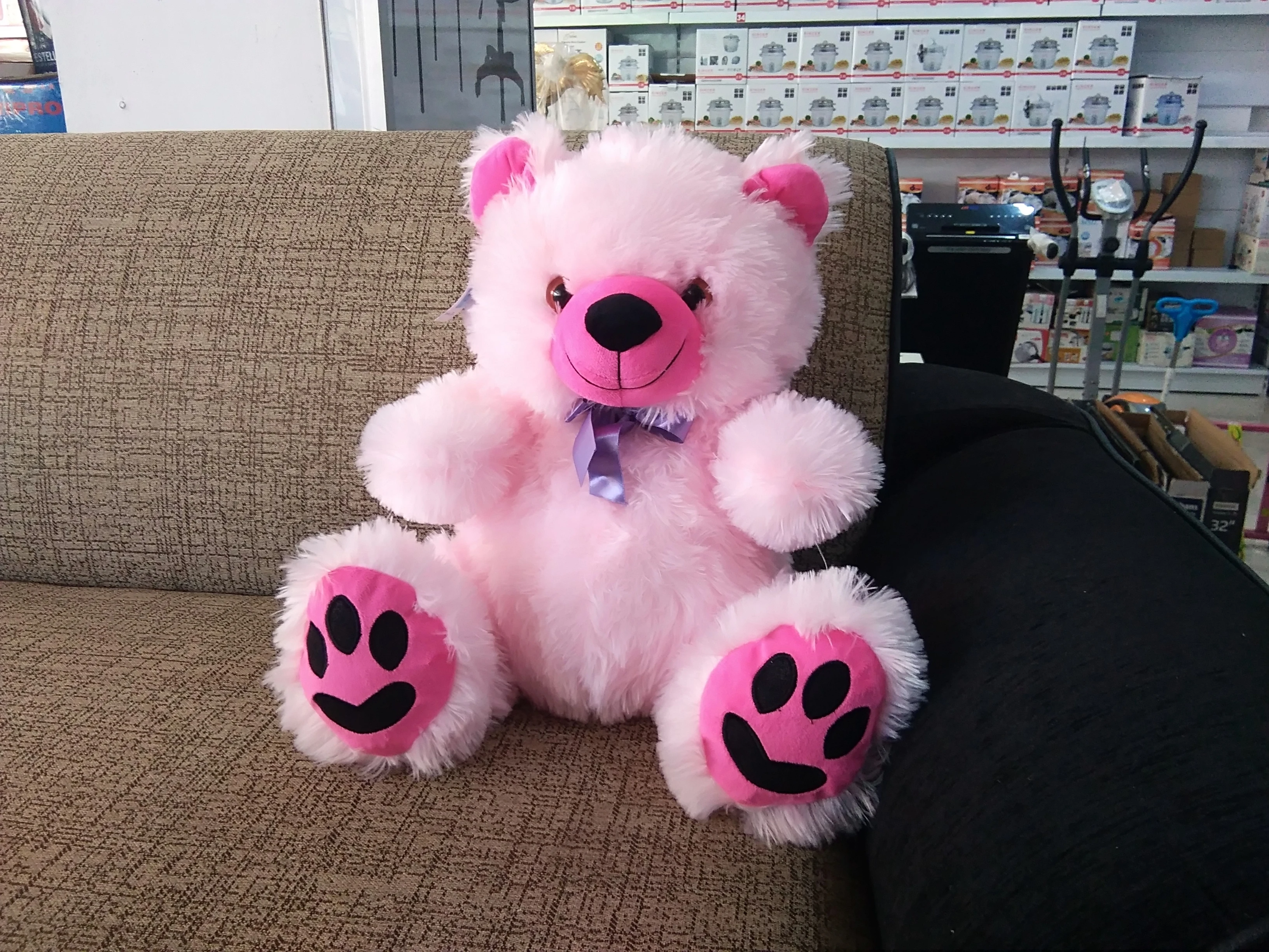 Teddy Bear Medium High Quality