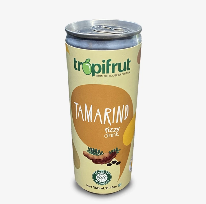 Tropifrut Tamarind Fizzy Drink 250ml