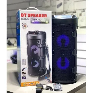 ZQS 4210 Karaoke Portable Wireless Bluetooth Speaker