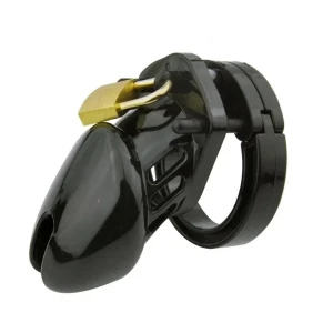 Male Chastity Cage  Cock Cage with Rings Locking  Toys