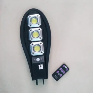 Generic Solar Induction Wall Lamp