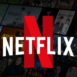 Netflix 4K Private Profile with Pin (1 M...