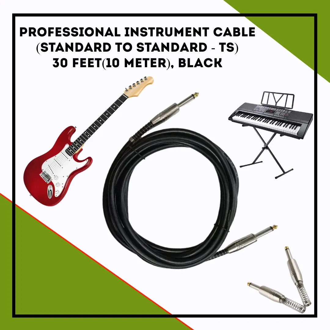 Generic Professional Instrument Cable TS to TS 30 Feet