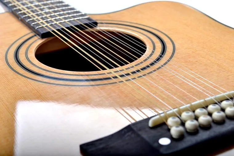 Deviser 12 String Semi-Acoustic Guitar - image 4