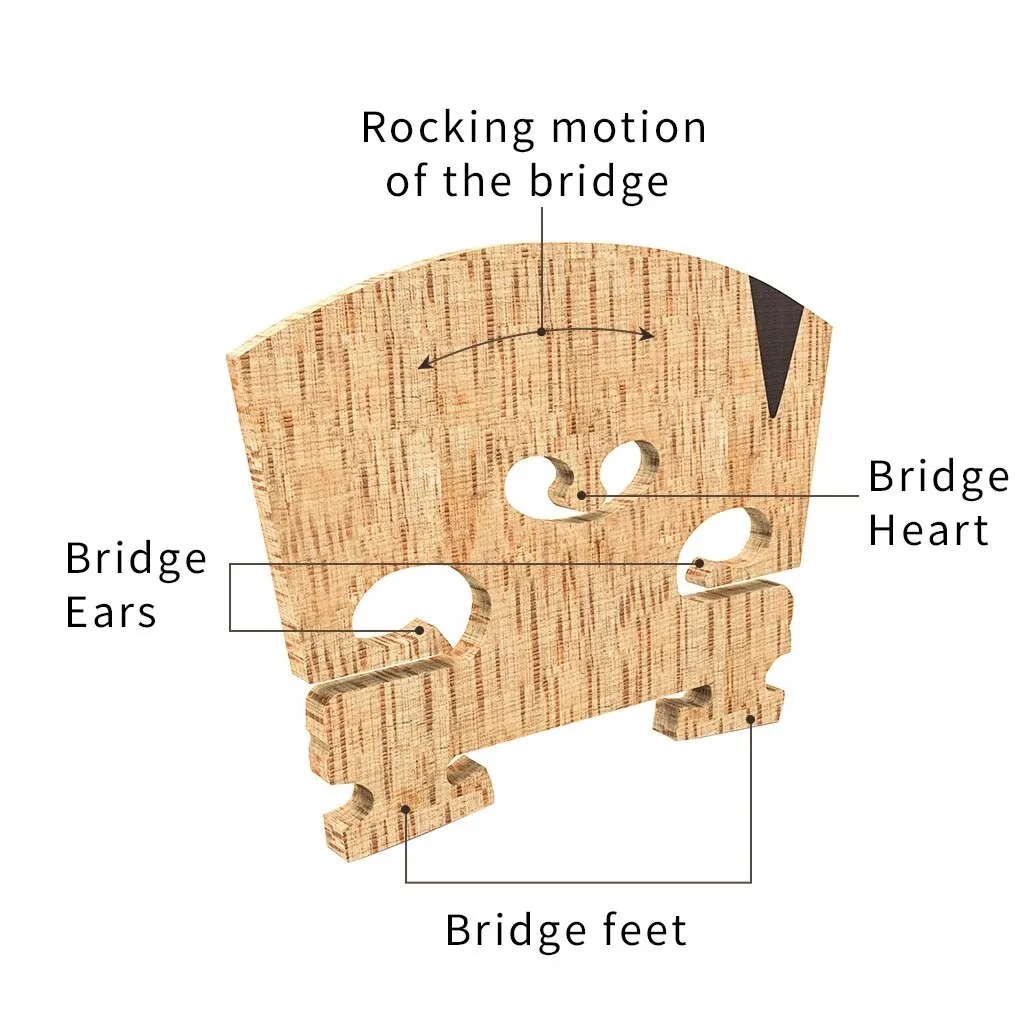 Neutral AA Grade Maple Violin Bridge 4/4 Size - image 3