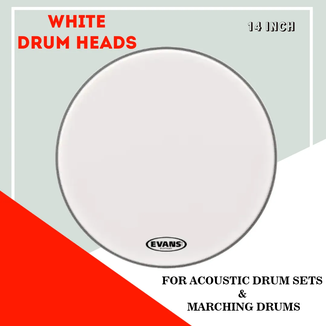 EVANS Single Ply White Drum Skin Head 8-24 Inch - image 2