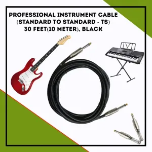 Generic Professional Instrument Cable TS to TS 30 Feet