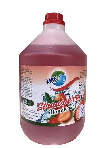 Skincare Handwash Liquid Soap Germ Protection