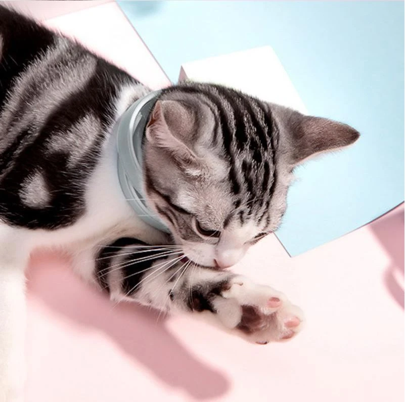 Anti Flea Tick Collar For Cat - image 4