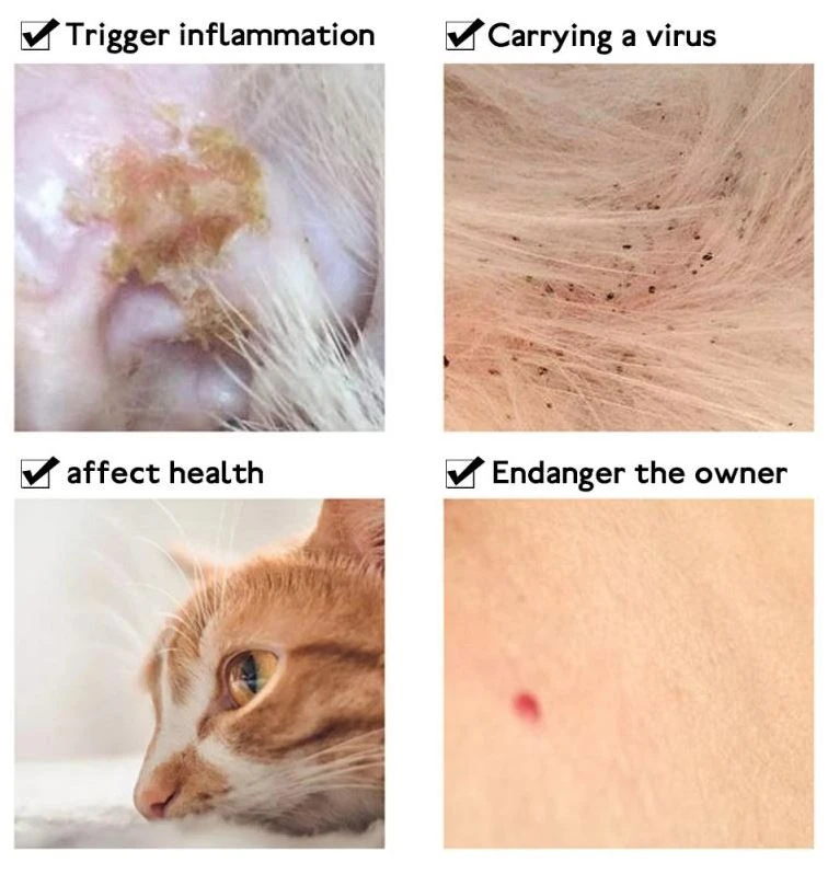 Anti Flea Tick Collar For Cat - image 7