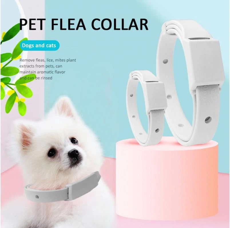 Generic Pet Collar Anti Flea Tick Protection Dog Cat - image 1