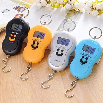 Generic Portable Electronic Scale 50kg Capacity