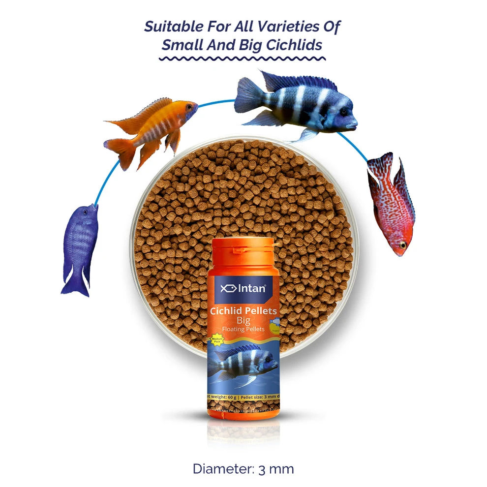 INTAN Cichlid Pellets Big 60g - image 3