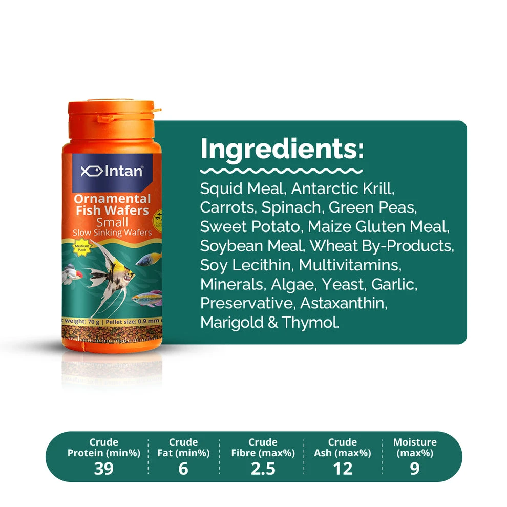 INTAN Ornamental Fish Wafers Small 70g - image 2