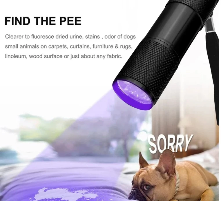 Light Torch Lamp Super Mini 9 LED Flashlight Ultraviolet - image 2