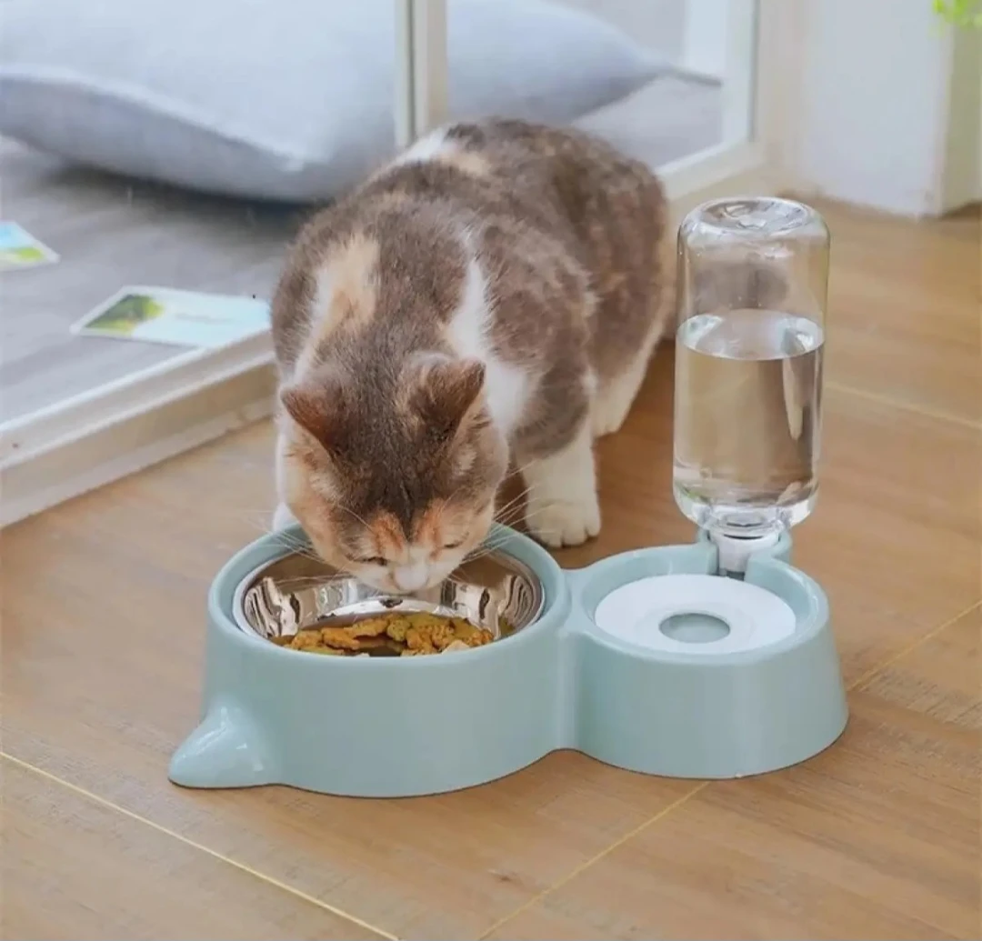 Generic 2-in-1 Cat Bowl Water Dispenser - image 8