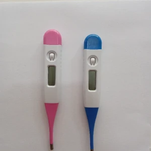 Digital Thermometer