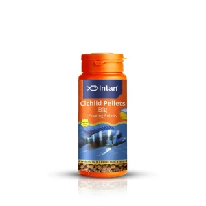 INTAN Cichlid Pellets Big 60g