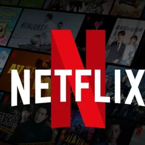 Netflix Private Profile 4K 6 Month