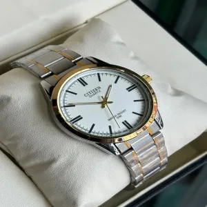 Two Tone Mens Casual Simple Citizen Watch