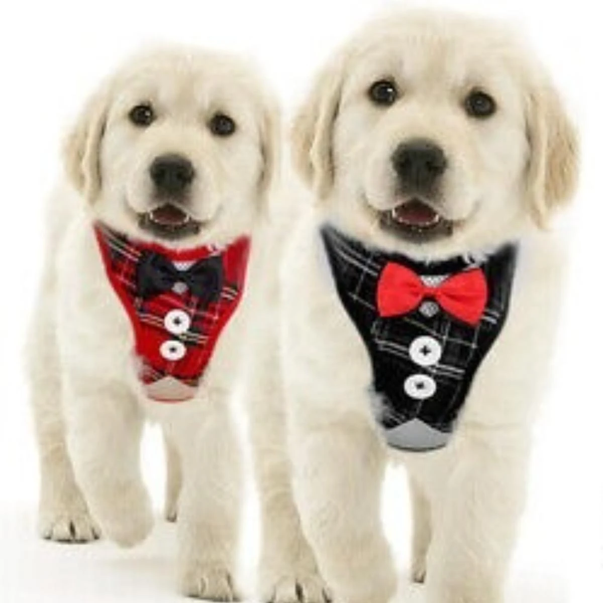 Generic Bow Tie Tuxedo Cat Vest Harness & Leash - image 6