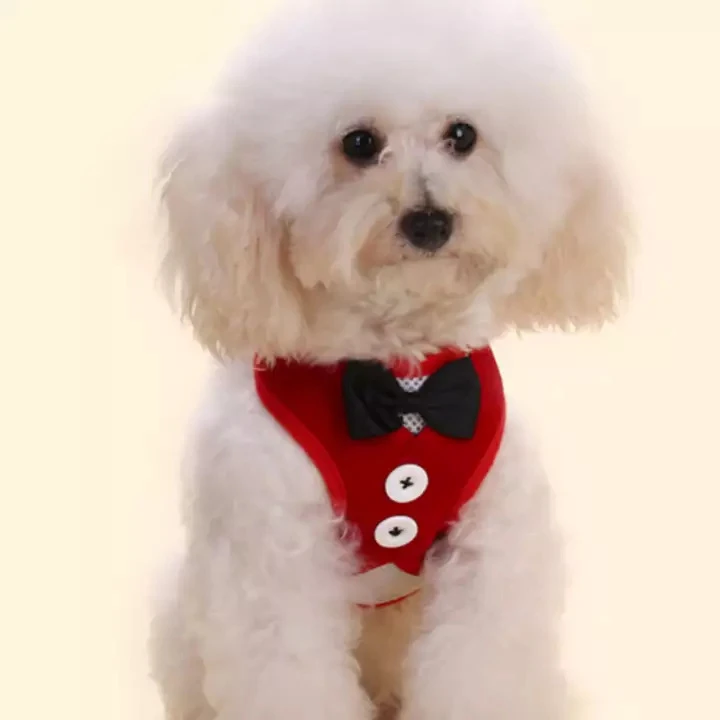 Generic Bow Tie Tuxedo Cat Vest Harness & Leash - image 11
