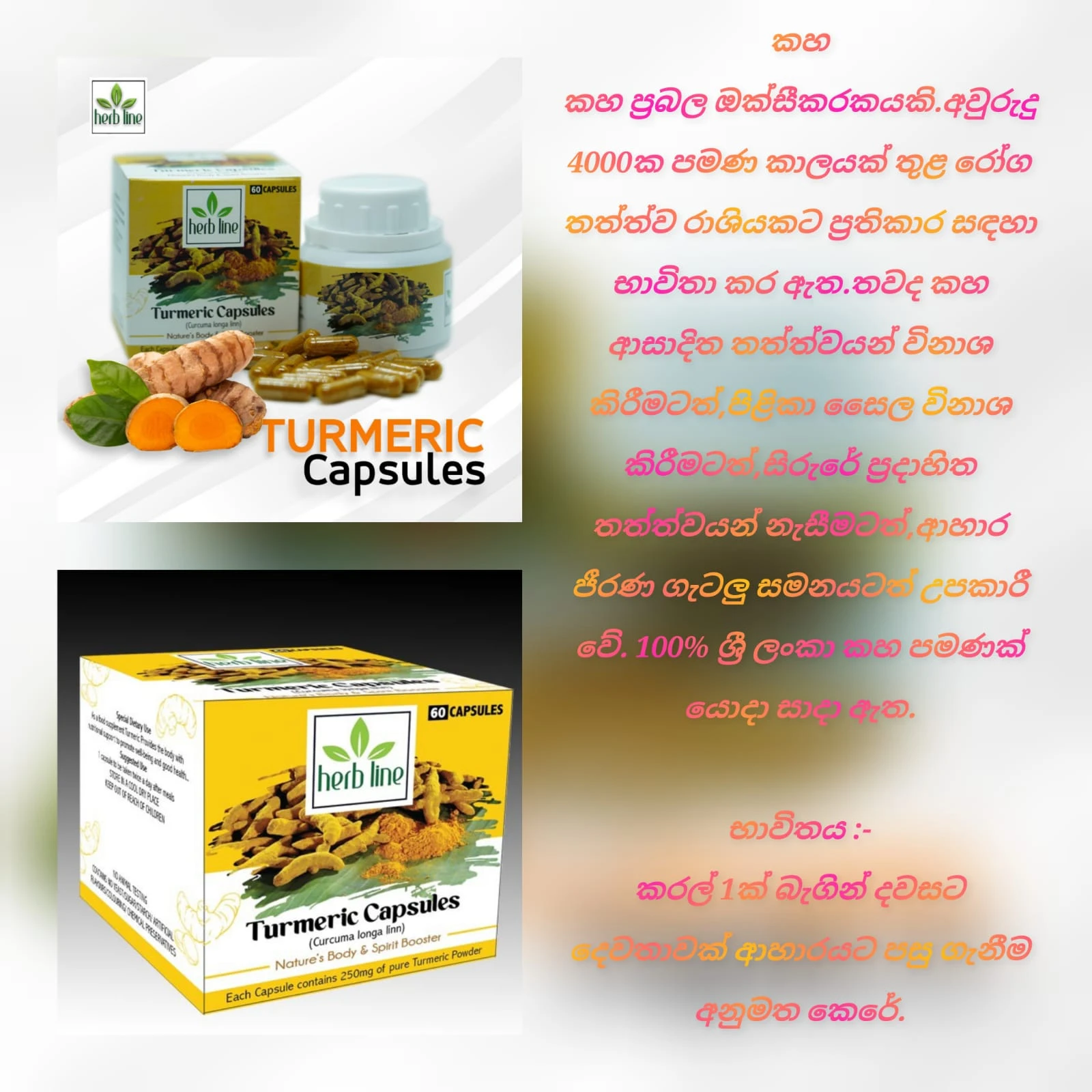 Herb Line Turmeric Capsules 60-250G - image 2