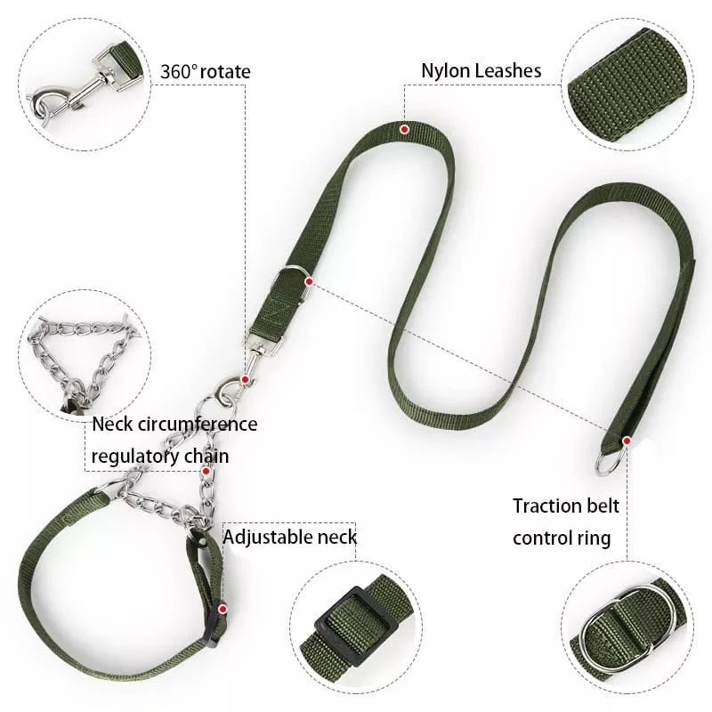 Generic Dog Metal Chain Martingale Collar with Leash - image 2