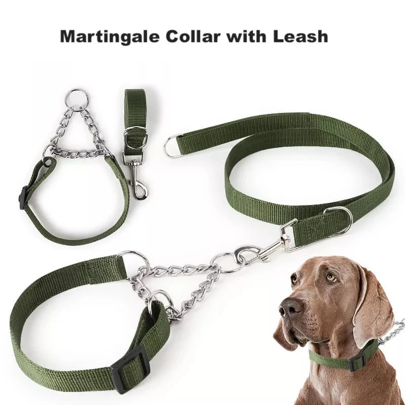 Generic Dog Metal Chain Martingale Collar with Leash - image 3