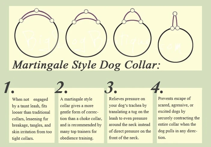 Generic Dog Metal Chain Martingale Collar with Leash - image 8