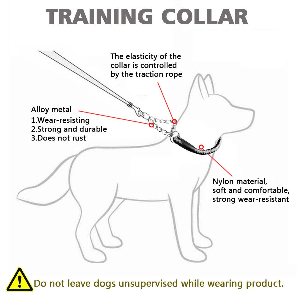 Generic Dog Metal Chain Martingale Collar with Leash - image 7