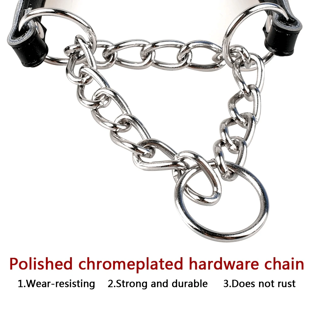 Generic Dog Metal Chain Martingale Collar with Leash - image 6