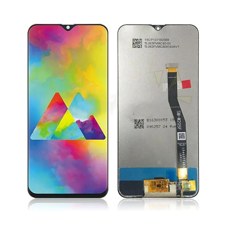 Samsung Galaxy M20 Display
