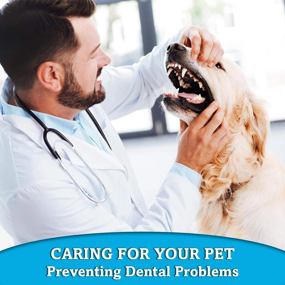 Generic Dental Toothbrush Kit for Dogs & Cats - image 4
