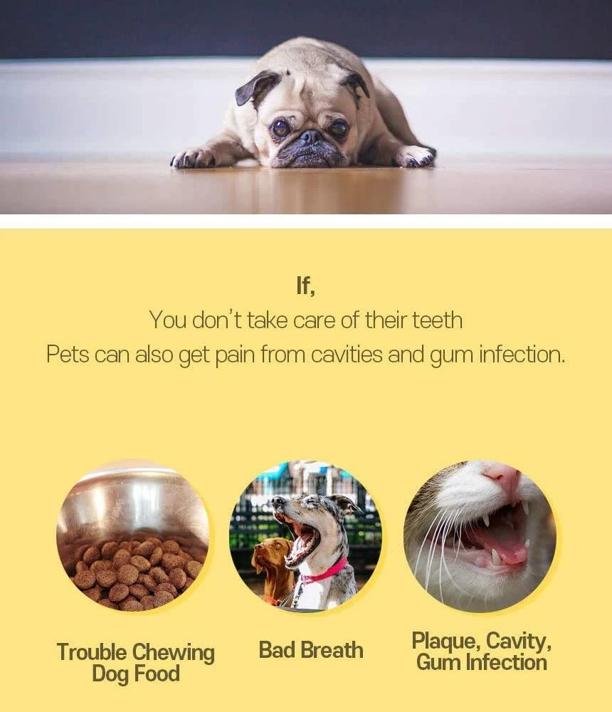 Generic Dental Toothbrush Kit for Dogs & Cats - image 15