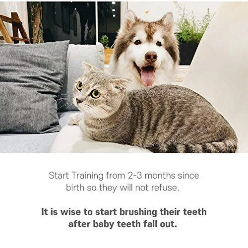 Generic Dental Toothbrush Kit for Dogs & Cats - image 14