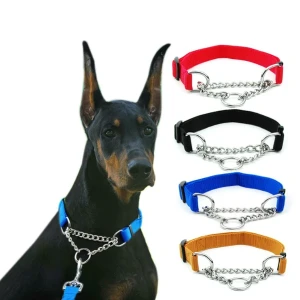 Generic Dog Metal Chain Martingale Collar with Leash
