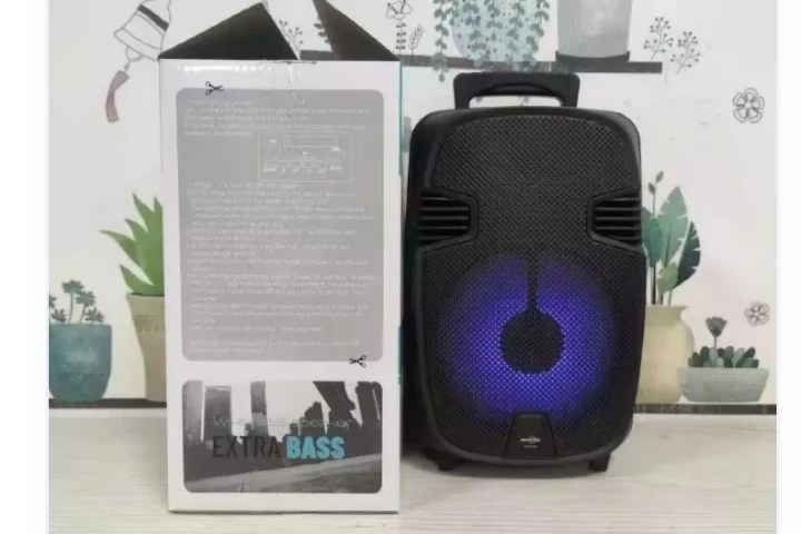 8inch Bluetooth karaoke speaker with stereo microphone