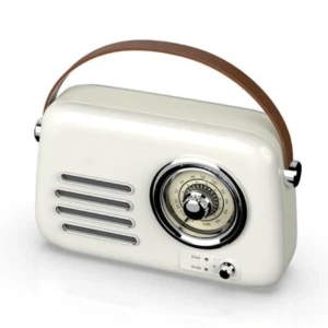 Kanvox FB-R303 Radio Bluetooth Speaker